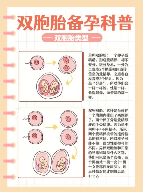 代怀是否可以双胞胎