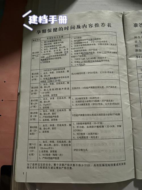 深圳借卵自怀费用