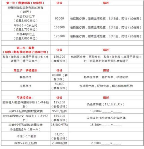 试管代孕大概费用